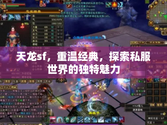 天龙sf，重温经典，探索私服世界的独特魅力