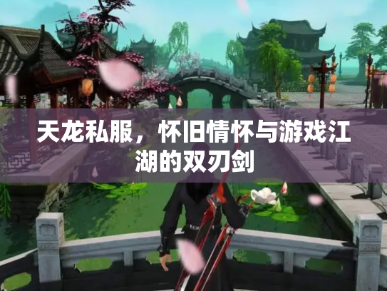 天龙私服，怀旧情怀与游戏江湖的双刃剑