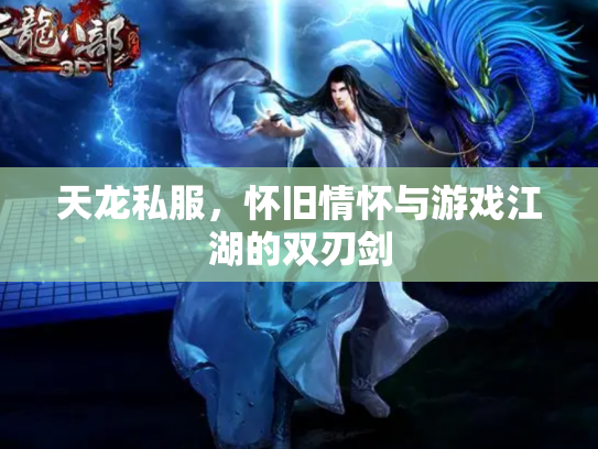 天龙私服，怀旧情怀与游戏江湖的双刃剑