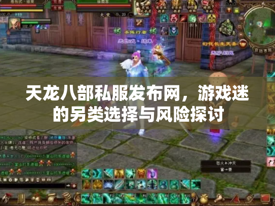 天龙八部私服发布网，游戏迷的另类选择与风险探讨