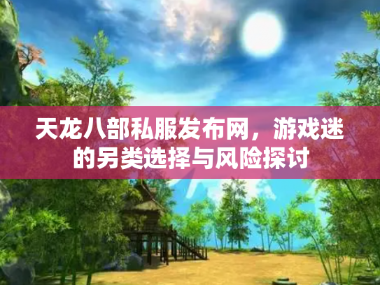 天龙八部私服发布网，游戏迷的另类选择与风险探讨