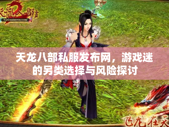 天龙八部私服发布网，游戏迷的另类选择与风险探讨