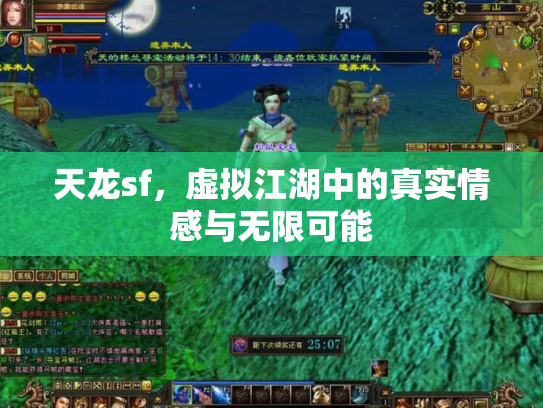 天龙sf，虚拟江湖中的真实情感与无限可能