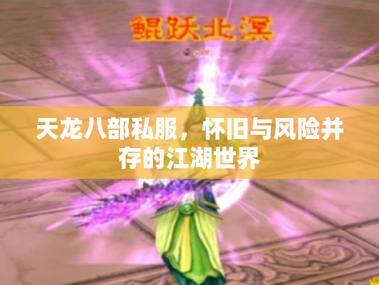 天龙八部私服，怀旧与风险并存的江湖世界