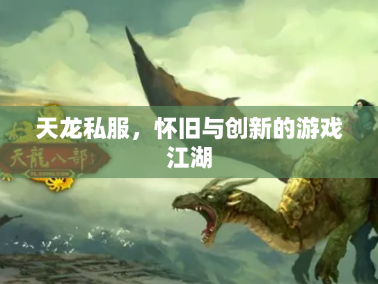 天龙私服，怀旧与创新的游戏江湖