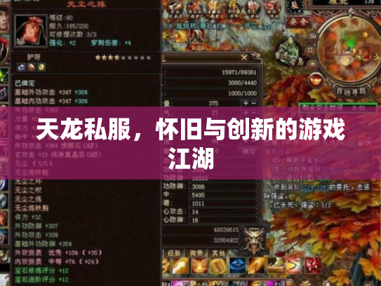 天龙私服，怀旧与创新的游戏江湖