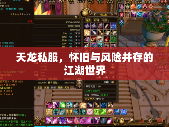 天龙私服，怀旧与风险并存的江湖世界