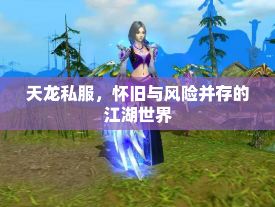 天龙私服，怀旧与风险并存的江湖世界
