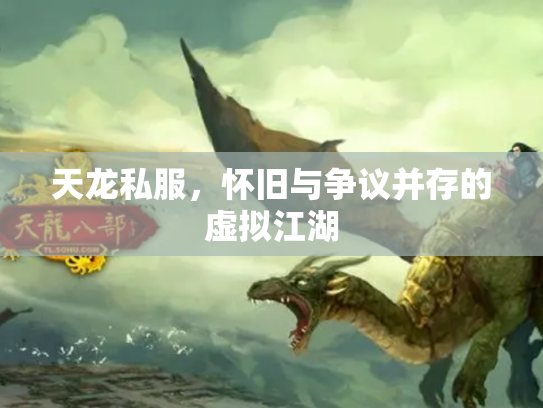 天龙私服，怀旧与争议并存的虚拟江湖