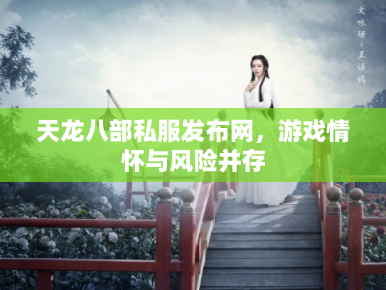 天龙八部私服发布网，游戏情怀与风险并存