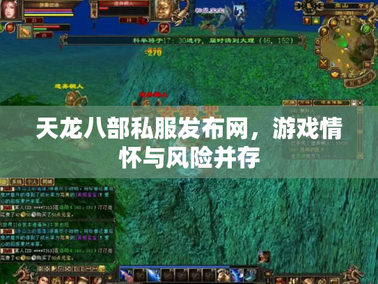 天龙八部私服发布网，游戏情怀与风险并存