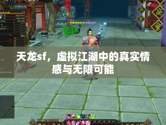 天龙sf，虚拟江湖中的真实情感与无限可能