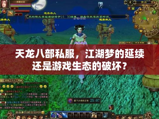 天龙八部私服，江湖梦的延续还是游戏生态的破坏？