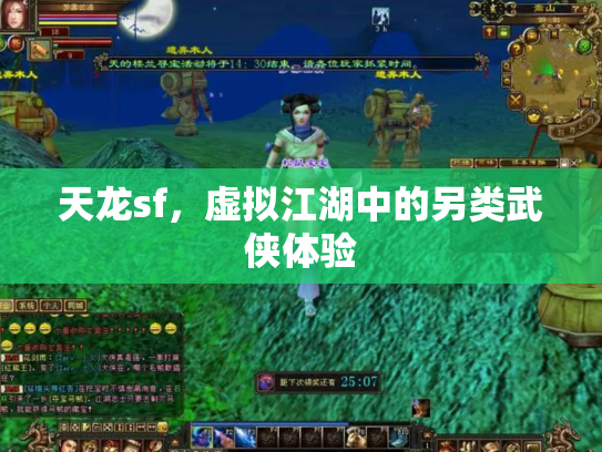 天龙sf，虚拟江湖中的另类武侠体验