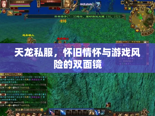 天龙私服，怀旧情怀与游戏风险的双面镜