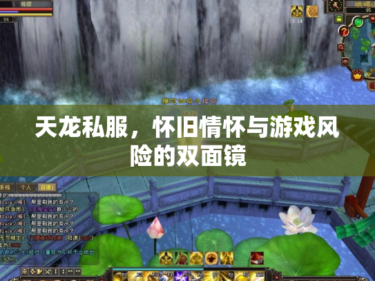 天龙私服，怀旧情怀与游戏风险的双面镜
