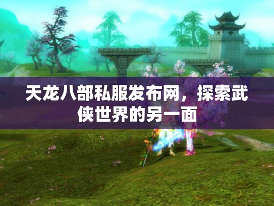 天龙八部私服发布网，探索武侠世界的另一面