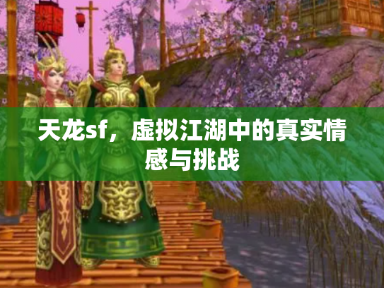 天龙sf，虚拟江湖中的真实情感与挑战