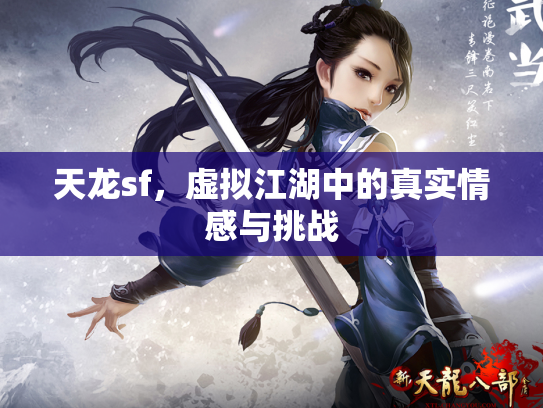 天龙sf，虚拟江湖中的真实情感与挑战