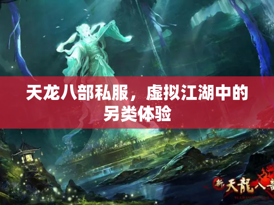 天龙八部私服，虚拟江湖中的另类体验