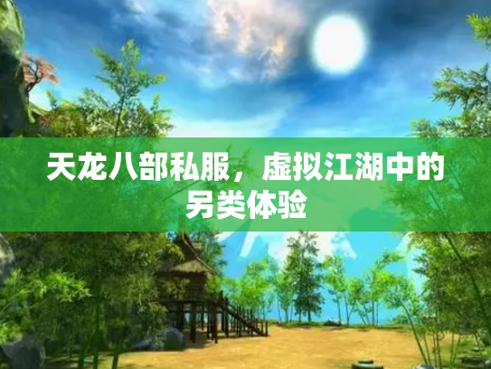 天龙八部私服，虚拟江湖中的另类体验