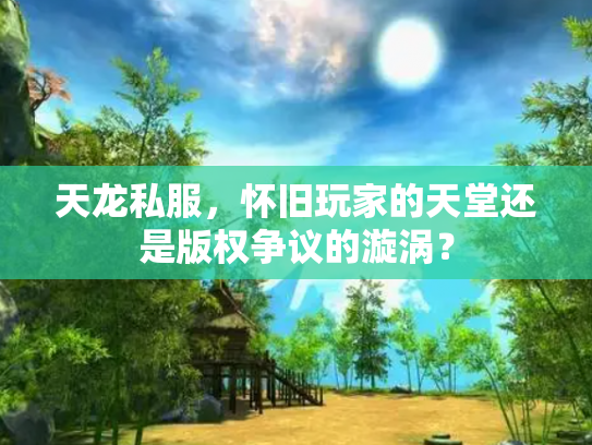 天龙私服，怀旧玩家的天堂还是版权争议的漩涡？