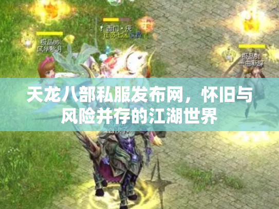 天龙八部私服发布网，怀旧与风险并存的江湖世界