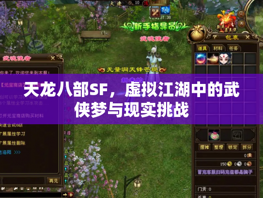 天龙八部SF，虚拟江湖中的武侠梦与现实挑战