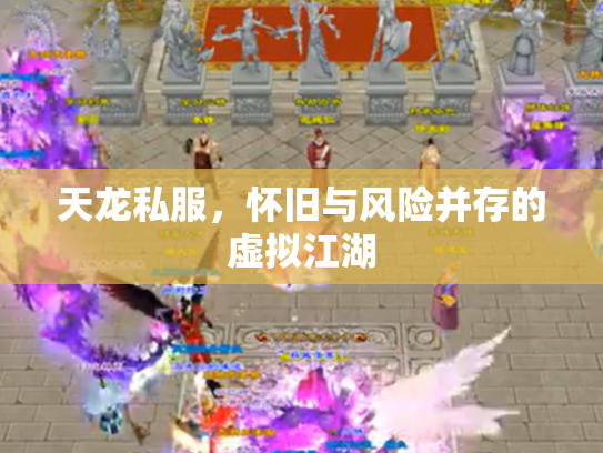 天龙私服，怀旧与风险并存的虚拟江湖