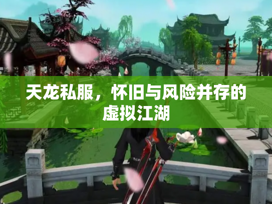 天龙私服，怀旧与风险并存的虚拟江湖