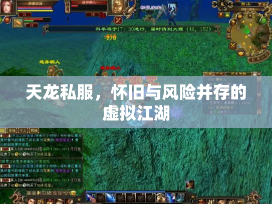 天龙私服，怀旧与风险并存的虚拟江湖