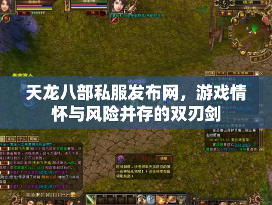 天龙八部私服发布网，游戏情怀与风险并存的双刃剑
