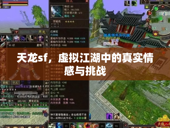 天龙sf，虚拟江湖中的真实情感与挑战