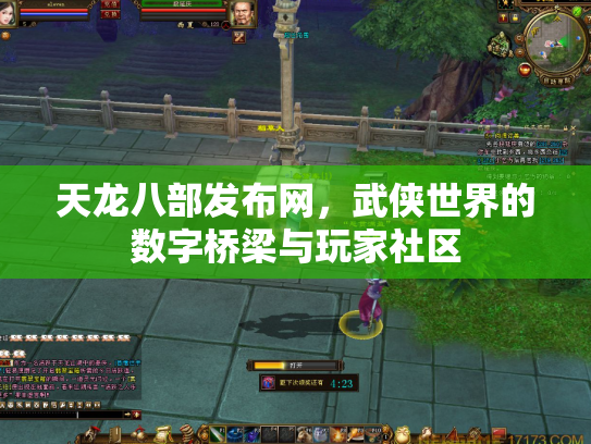 天龙八部发布网，武侠世界的数字桥梁与玩家社区