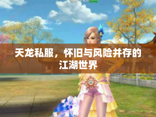 天龙私服，怀旧与风险并存的江湖世界