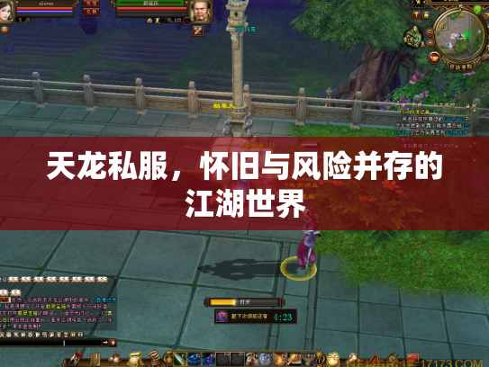 天龙私服，怀旧与风险并存的江湖世界