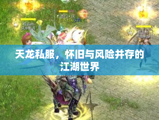 天龙私服，怀旧与风险并存的江湖世界