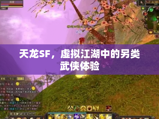 天龙SF，虚拟江湖中的另类武侠体验