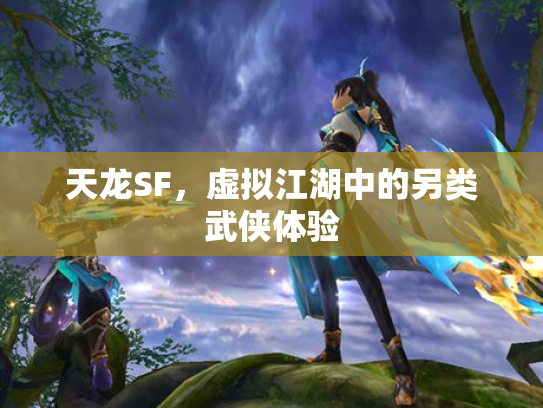天龙SF，虚拟江湖中的另类武侠体验