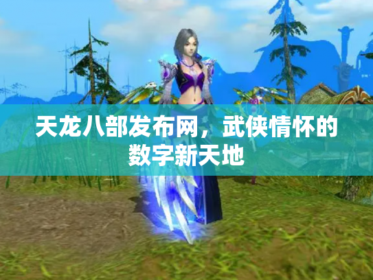 天龙八部发布网，武侠情怀的数字新天地
