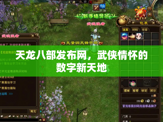 天龙八部发布网，武侠情怀的数字新天地