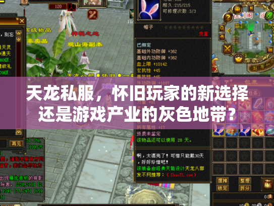 天龙私服，怀旧玩家的新选择还是游戏产业的灰色地带？