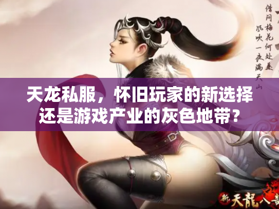 天龙私服，怀旧玩家的新选择还是游戏产业的灰色地带？