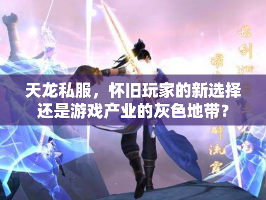 天龙私服，怀旧玩家的新选择还是游戏产业的灰色地带？