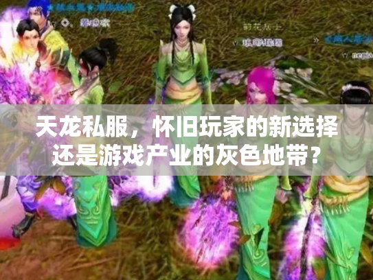 天龙私服，怀旧玩家的新选择还是游戏产业的灰色地带？
