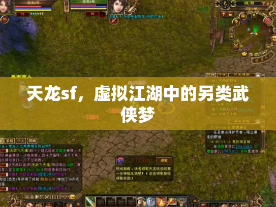 天龙sf，虚拟江湖中的另类武侠梦