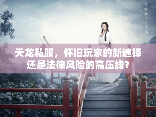 天龙私服，怀旧玩家的新选择还是法律风险的高压线？