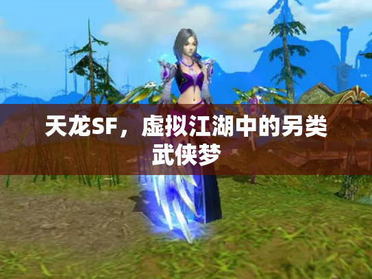 天龙SF，虚拟江湖中的另类武侠梦