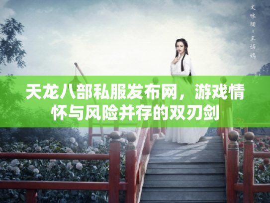 天龙八部私服发布网，游戏情怀与风险并存的双刃剑