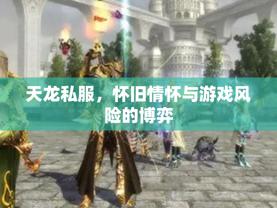 天龙私服，怀旧情怀与游戏风险的博弈